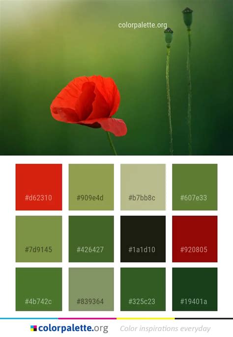 Red Green Color Palette | Images and Photos finder