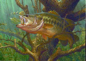 Largemouth Bass - Painting Art by Mark Susinno