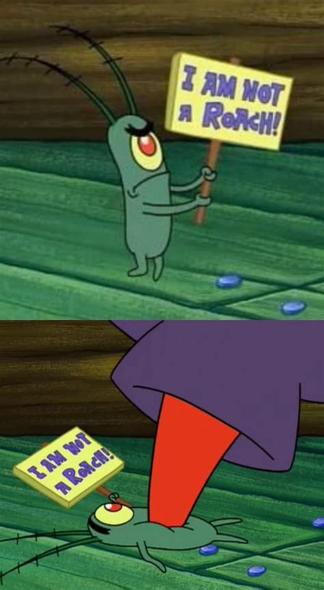 Heres the template of my plankton meme : r/memes