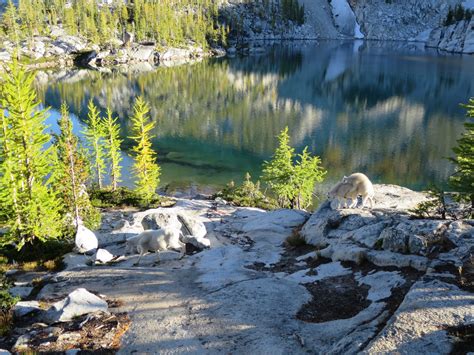 Enchantments | Snow lake, Lake, Go hiking