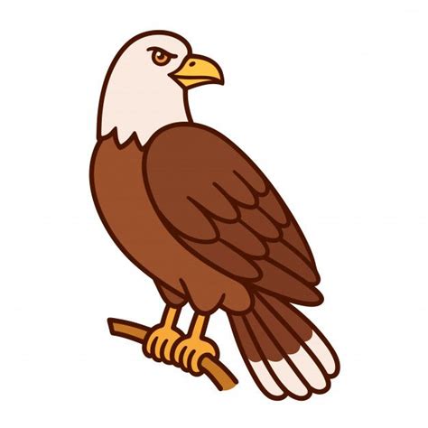 Premium Vector | Cartoon bald eagle | Eagle drawing, Eagle cartoon ...