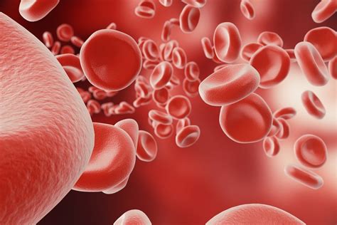 Causes of Low / High Hemoglobin Levels & How to Improve - SelfDecode Labs