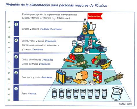 Comprometido mejilla Envolver piramide alimenticia americana pubertad ...