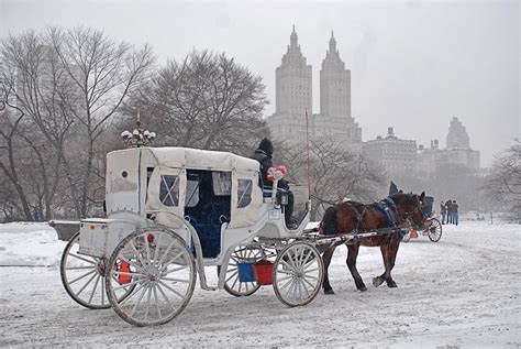 NYC ♥ NYC: Iconic Horse-Drawn Carriage Rides in Central Park