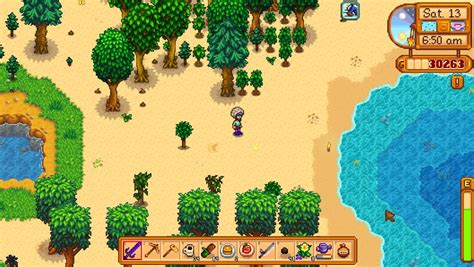 Complete Stardew Valley Beach Farm Guide – Assorted Meeples