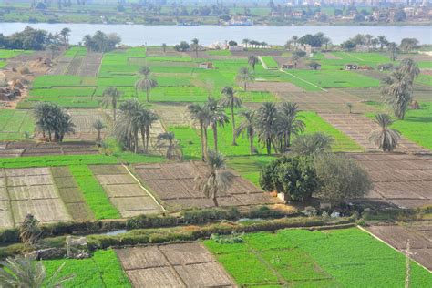 Nile River Crops