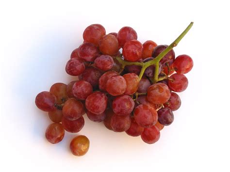 FREE Red Grape Photo, Grape Picture, Fresh Grapes Image, Royalty-Free ...