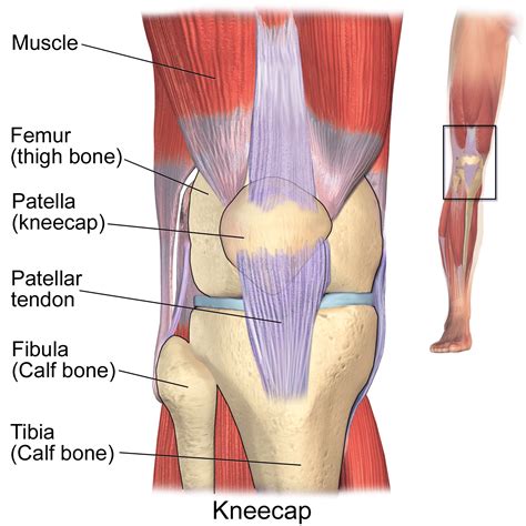 Runner's Knee Causes And Treatment | [𝗣]𝗥𝗲𝗵𝗮𝗯 | Knee