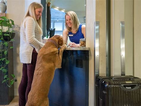 Best Pet-Friendly Hotels in the US 2021