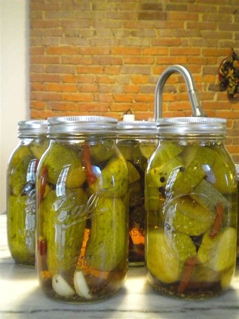 Spicy Dill Pickle Canning Recipe | Canning vegetables, Canning recipes ...