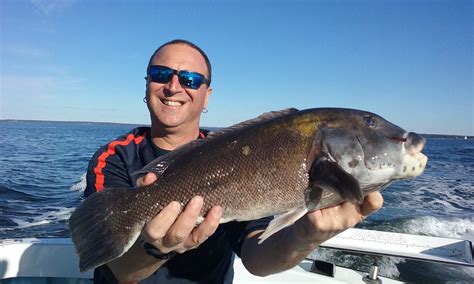 no fluke fishing: Tautog fishing tips from the experts