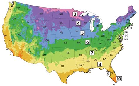 Plant Zone Map Of Us - Show Me The United States Of America Map