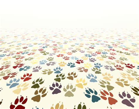 🔥 [40+] Dog Paws Wallpapers | WallpaperSafari