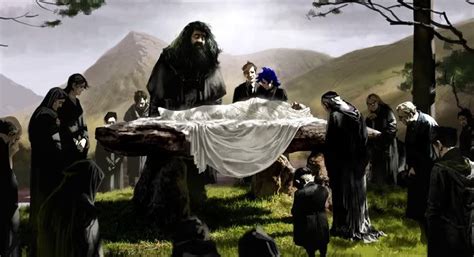 Half-Blood Prince Concept Art ~ Dumbledore's Funeral: rattlesnakeroot ...