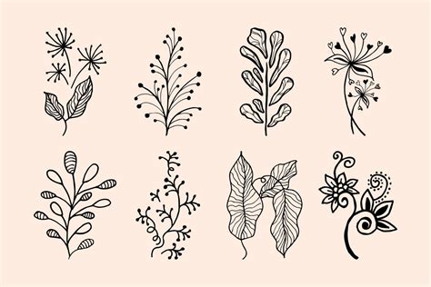 Hand drawn vector design floral elements 6945697 Vector Art at Vecteezy