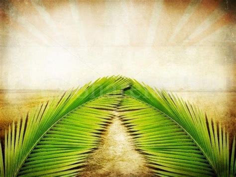 Palm Sunday Wallpapers - Top Free Palm Sunday Backgrounds - WallpaperAccess