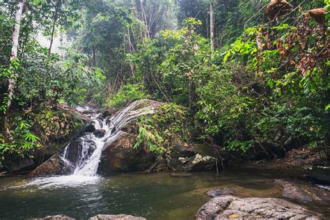 Khao Lak Lam Ru National Park - ThailandMagazine.com