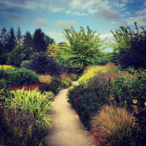 The Hot Garden at RHS Rosemoor still giving some really good colour # ...