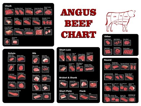 Printable Beef Cuts Chart