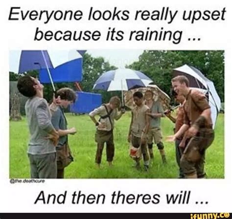 Pin by Katie M on The Maze Runner Memes | Maze runner movie, Maze ...