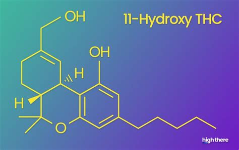 11 Hydroxy Metabolite - What It Is & Why You Need to Know | High There!