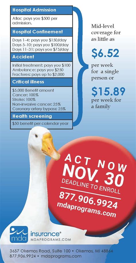 Aflac Group Insurance – Financial Report