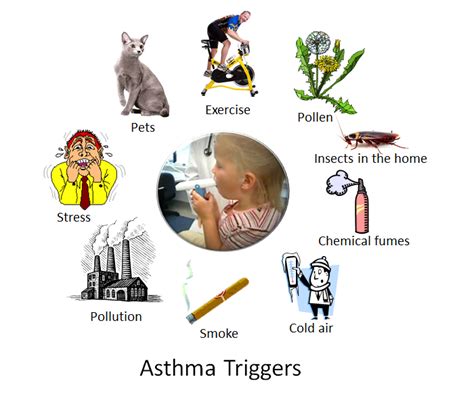 Asthma Triggers | Foods that Trigger Asthma