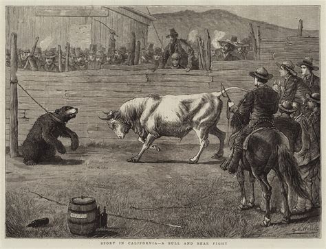 The Brutal Bull-and-Bear Fights of 19th-Century California - Atlas Obscura