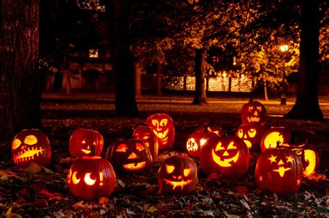 Free and cheap Halloween events in South Florida - South Florida on the ...