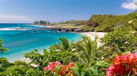 Maui Beach Wallpaper 1920x1080 56302 - Baltana