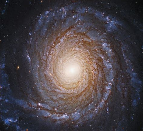 The Spiral Galaxies Universe