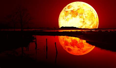 Blood Moon, Full HD 2K Wallpaper