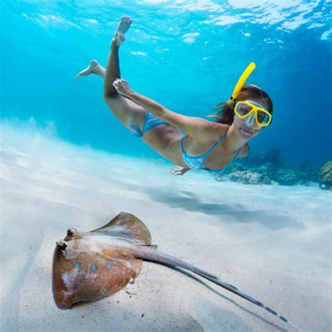 Snorkeling in Cancun - Scuba Diving Cancun