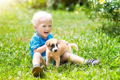 Toddler's Adorable Reaction to Seeing a Dog for First Time Goes Viral ...