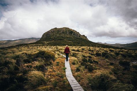 Campbell Island is my happy place - Young Adventuress