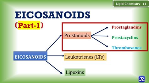 11: Eicosanoids Part -1: Prostanoids (Prostaglandin, Prostacyclin ...