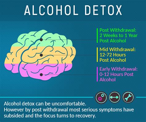 Alcohol Detox: What You Don’t Know but Must, Explained | AlcoRehab.org