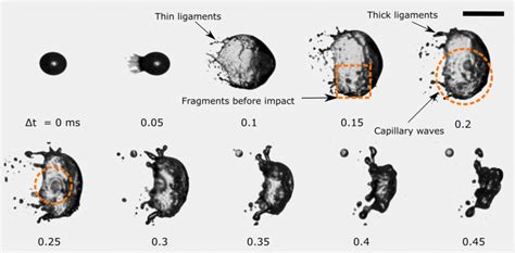 Crown formation and the breakup of an emulsion droplet... | Download ...