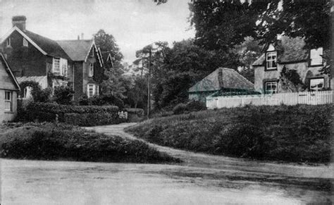 57_40 Old photographs of Rogate, West Sussex - Rogate vintage photos ...