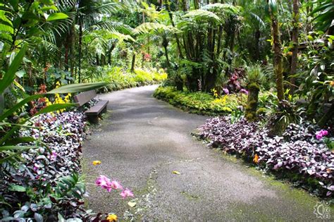 Hawaii Tropical Botanical Garden Map | Fasci Garden