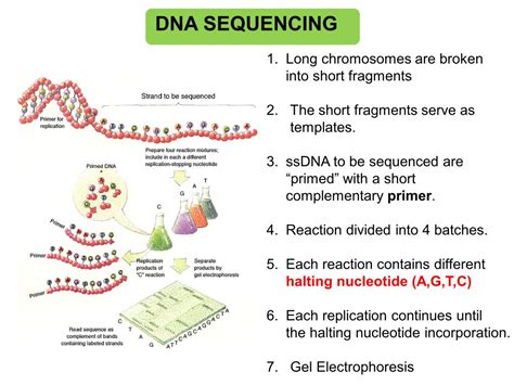 nanoHUB.org - Resources: [Illinois] Phys550 Lecture 25: Noise in Gene ...