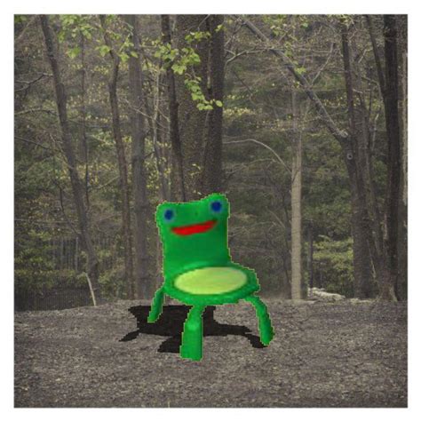 Froggy Chair in nature | Froggy Chair | Know Your Meme