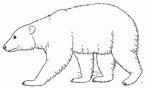 Free Polar Bear Black And White Clipart, Download Free Polar Bear Black ...