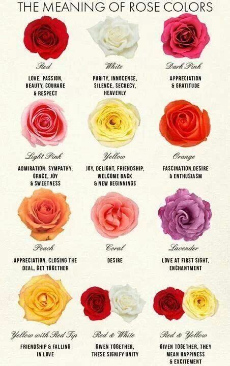 THE MEANING OF ROSE COLORS in 2020 | Rose color meanings, Rose color, Rose