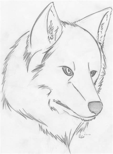 Easy Wolf Drawing at GetDrawings | Free download