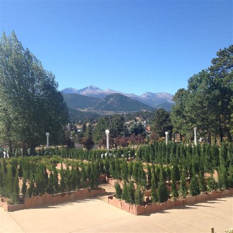 Miniature maze at the Stanley Hotel | The stanley hotel, Colorado, Outdoor