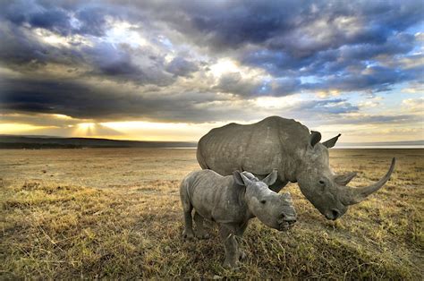 Lake Nakuru National Park travel | Southern Rift Valley, Kenya - Lonely ...