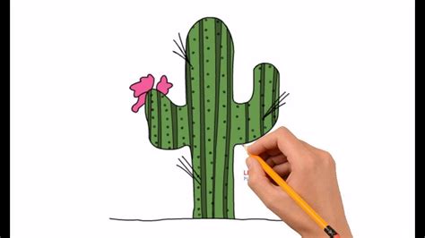 How to Draw a Cactus Step by Step Easy For Kids - YouTube