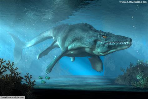 Mosasaurus Facts & Pictures: Late Cretaceous Marine ргedаtoг