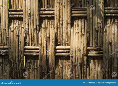 Natural Fence. Fence of Bamboo Stalks.,a Garden Fence Made of Bamboo ...